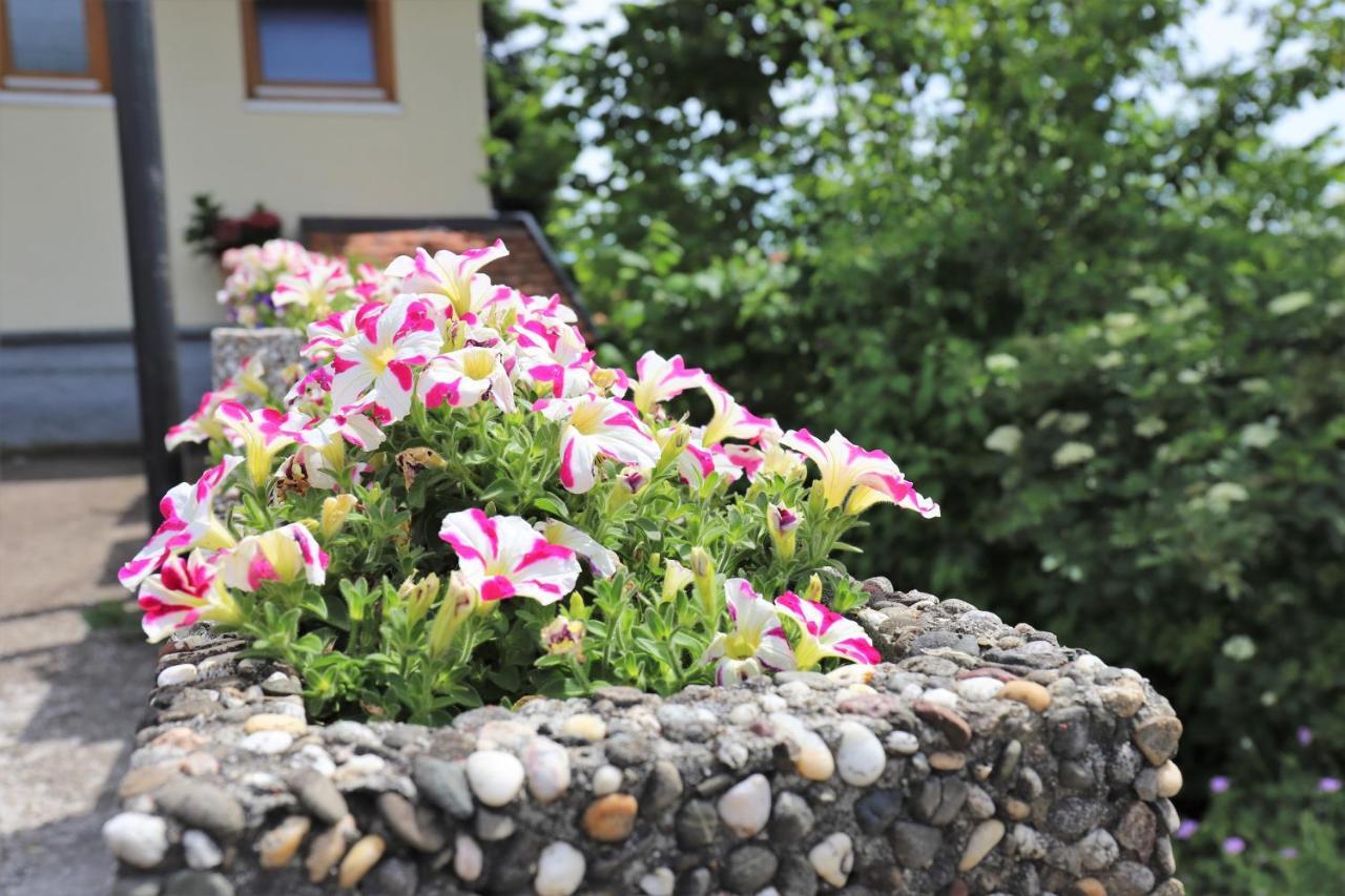 Gaestehaus Willaringen Rickenbach  외부 사진