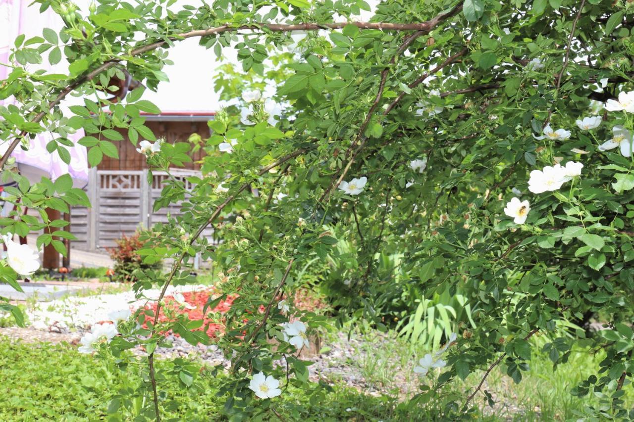 Gaestehaus Willaringen Rickenbach  외부 사진